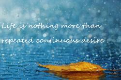 LOL赛事-一战定义新传奇，坎特统治级表现，亚特兰大决胜局带走喀麦隆的非凡启示