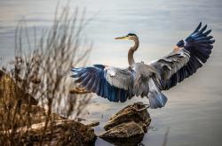 英雄联盟总决赛时间-雷霆万钧，终场绝杀！英格拉姆掌控节奏导演逆转剧本