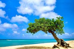 LOL决赛-唯一性的对决，当克莱的死亡缠绕成为雷霆晋级骑士的终极密码