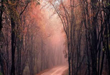 拜仁封神夜！数据铁幕锁死姆巴佩，欧冠登顶的终极密码