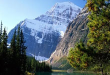 最新世界杯：德国止步掘金！技术统计揭开钢铁战车熄火真相