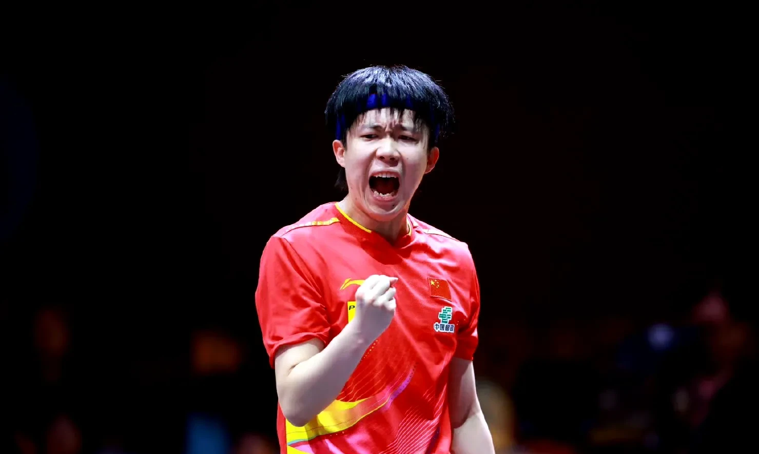 包含法国队横扫德国队，王皓刷新纪录的词条