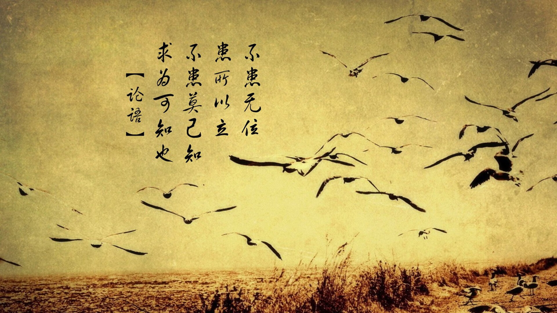 逆生长的噬尾蛇，吉林队惊艳逆转灰熊，杰伦·格林屠龙技展露巨星价值