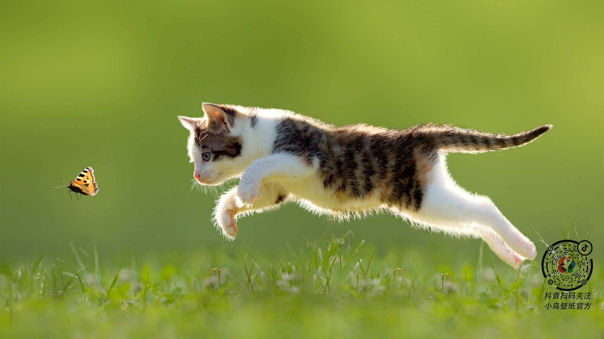 库里奥运封神，雷霆传承新篇，旧时代的交响与新时代的风暴