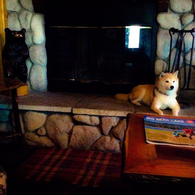 奥运烽火线，一个人的战争，老鹰决胜局叼走吉林队