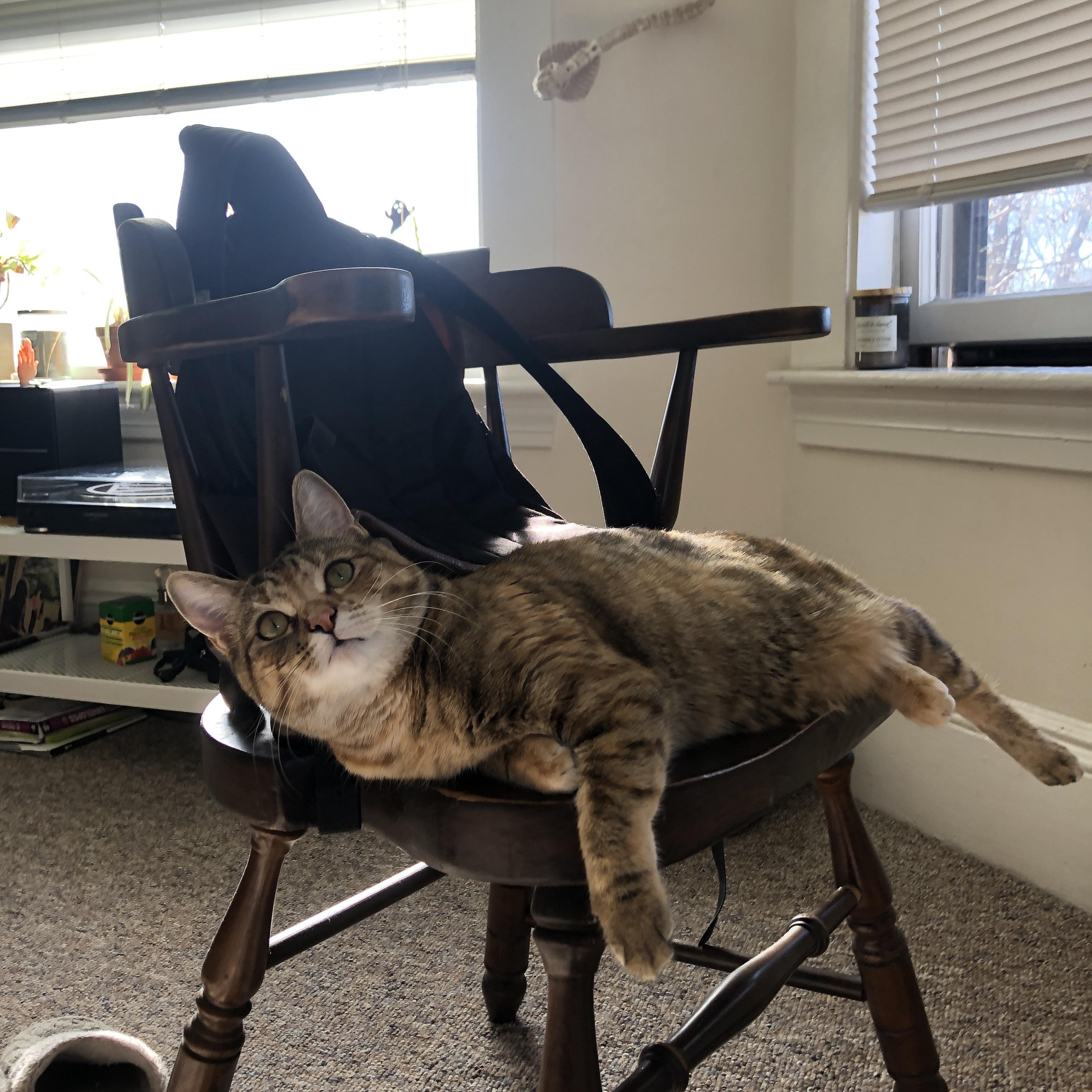 跨界时空,当克利夫兰骑士队闯入2026世界杯预选赛