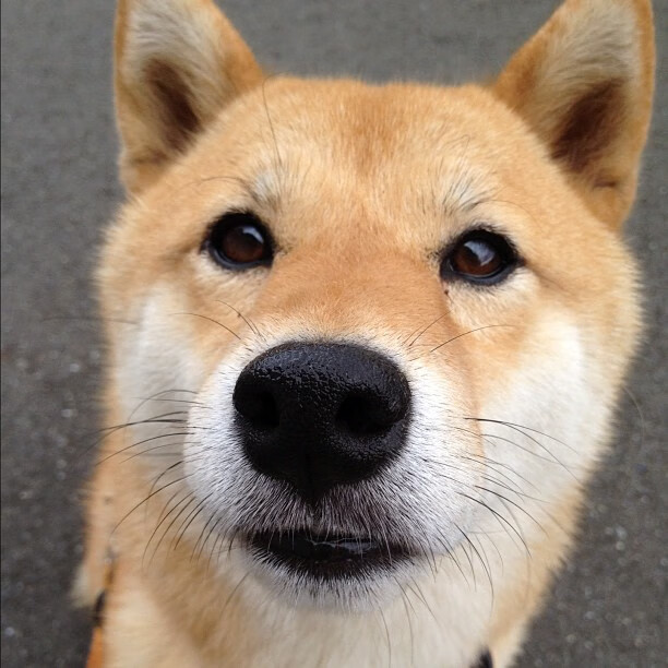 乌拉圭对阵挪威,门迪,绿茵场上的隐形节拍器