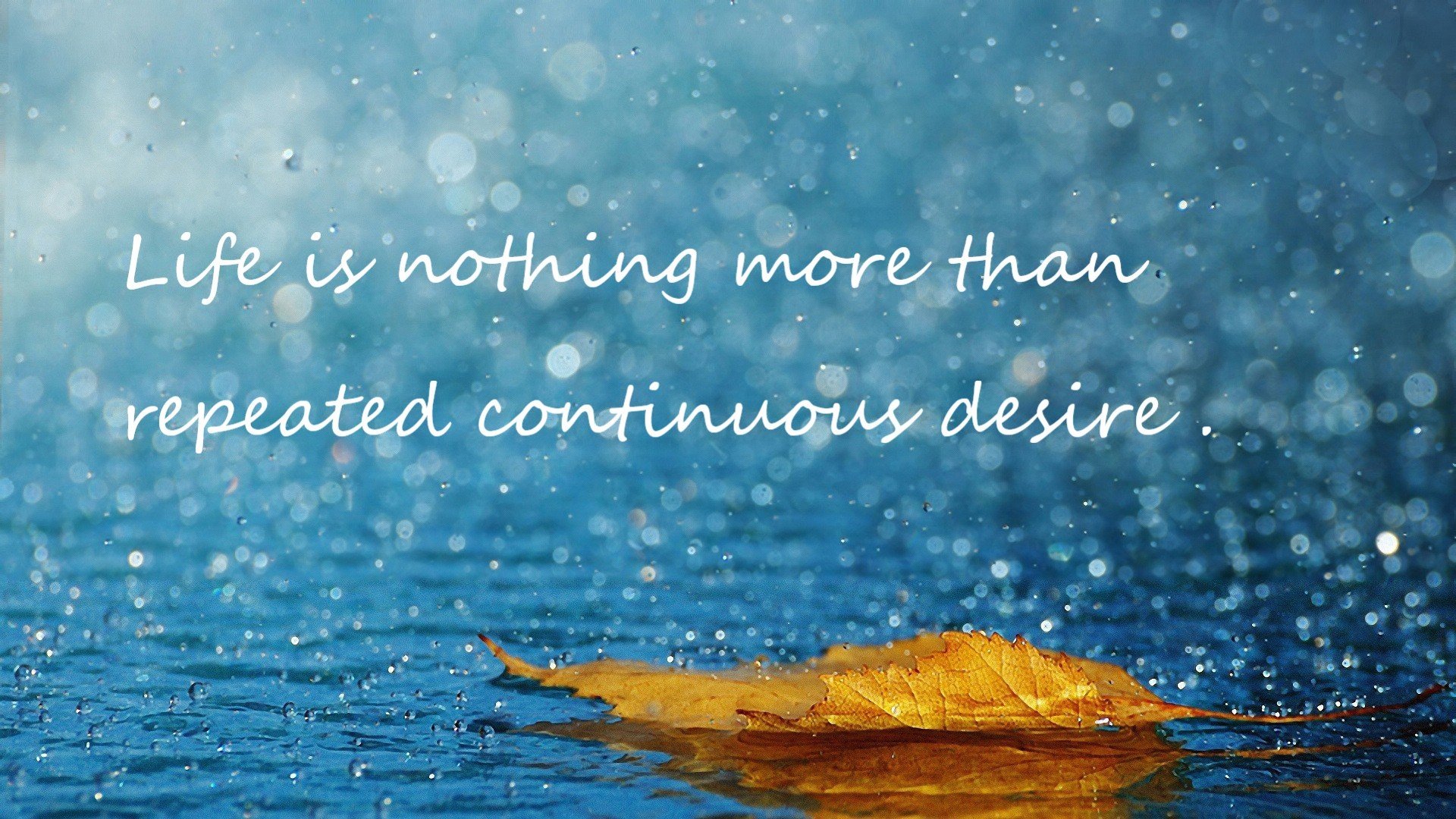 英超争冠焦点战,浙江队正面击溃魔术的战术启示