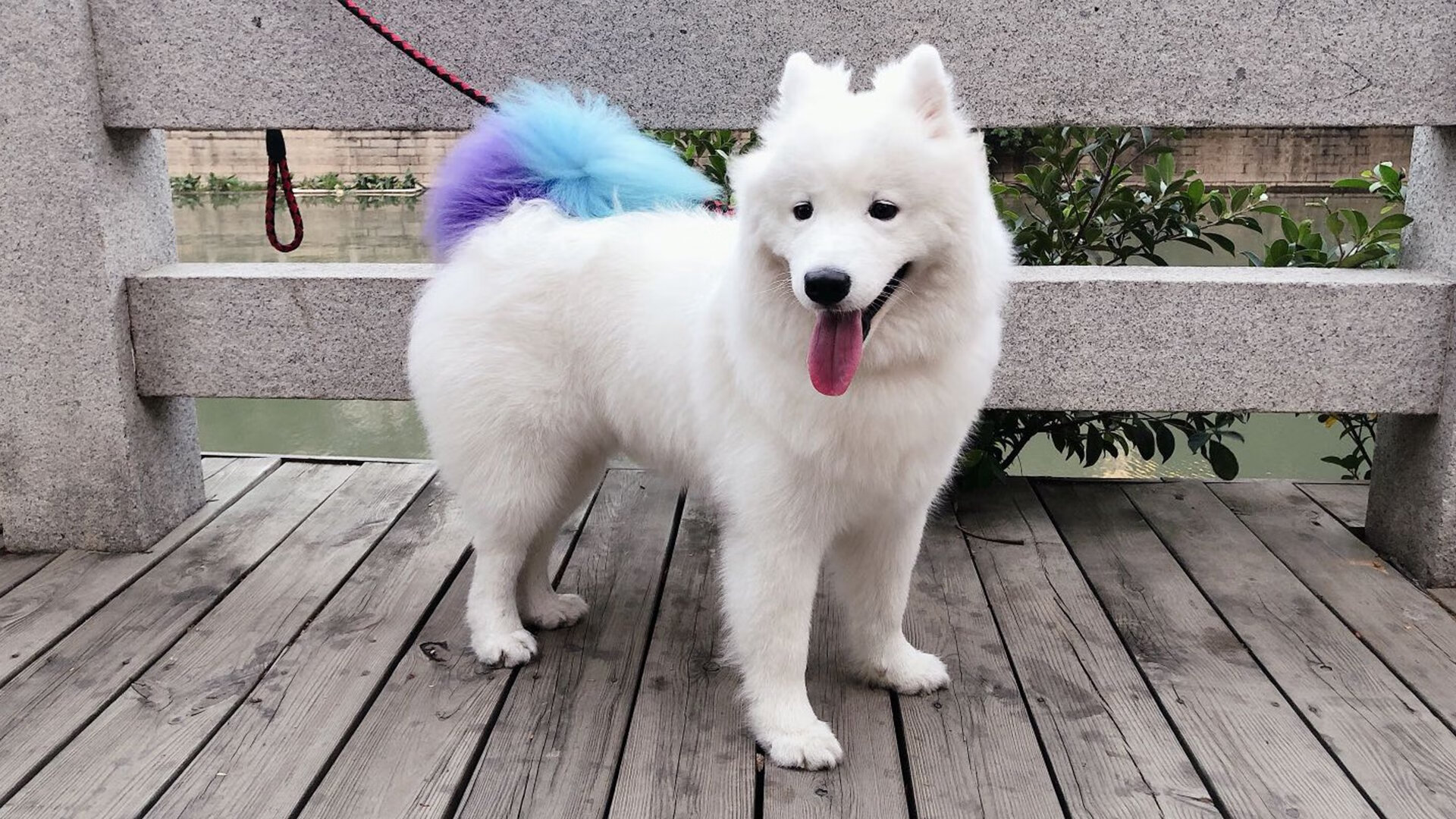 跨界风暴！欧冠半决赛惊现东方奇迹，浙江队隔空击败灰熊的战略启示