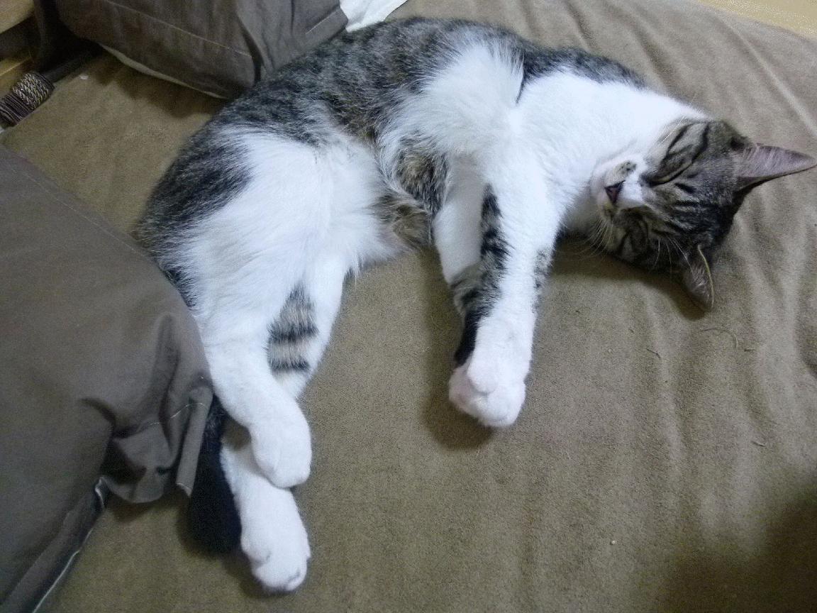 破茧，伊萨克七分钟内的两次闪光，如何让一场拉锯战彻底倾斜