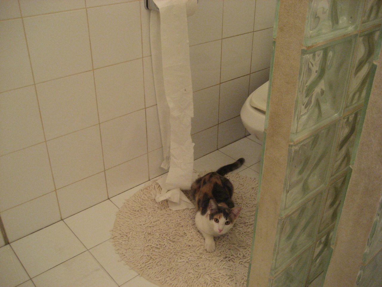 千钧一发！福克斯神之一手改写剧本，辽宁惊险擒龙