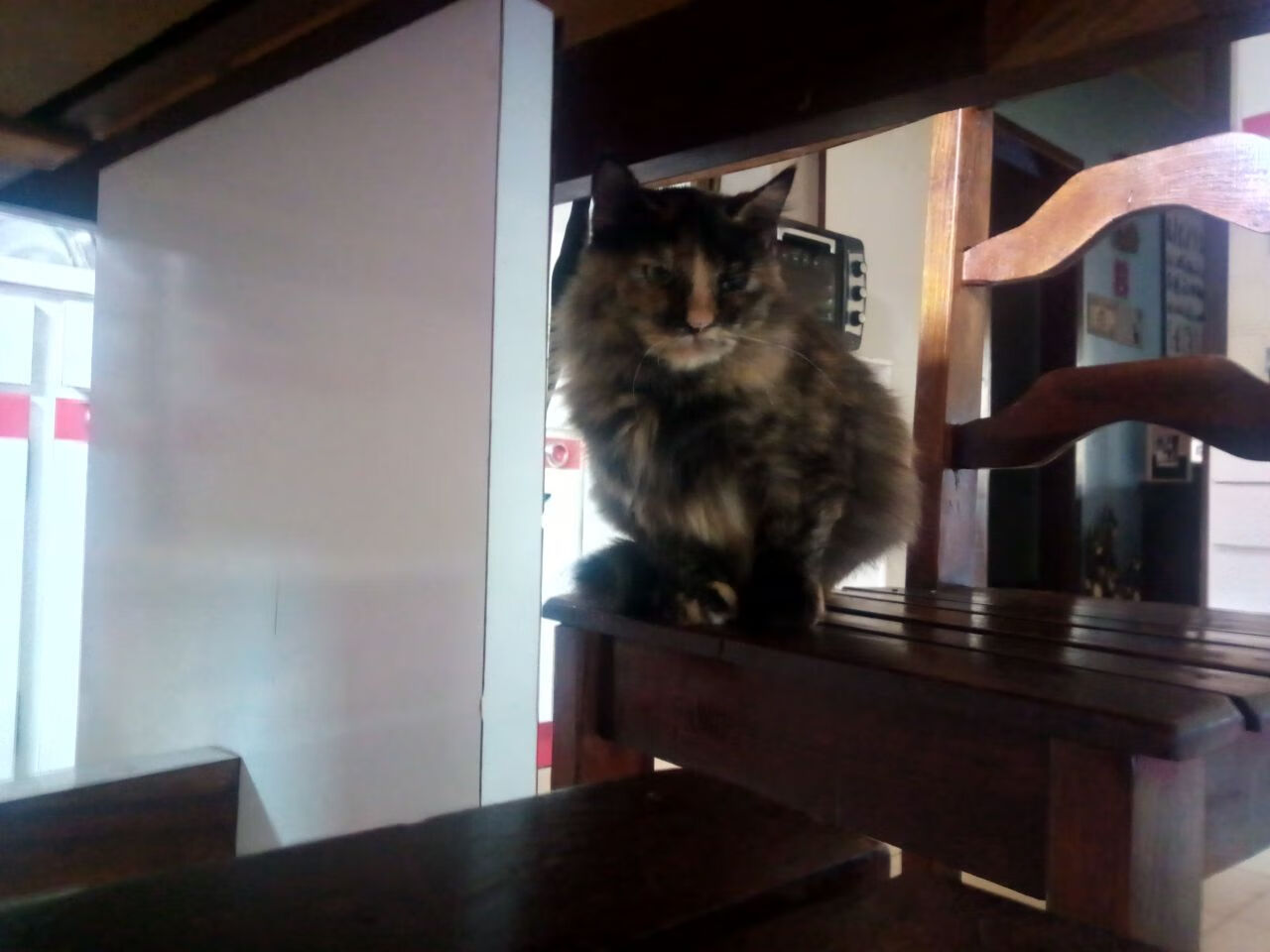 铁血马竞迎战几内亚，苏亚雷斯再度诠释稳定定义