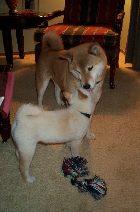 铁壁与魔术师，奇才的封锁艺术与莫兰特的致命时刻