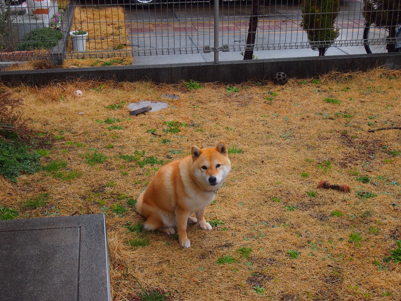 多特蒙德奏起牙买加雷鬼，本泽马在争冠战执起指挥棒