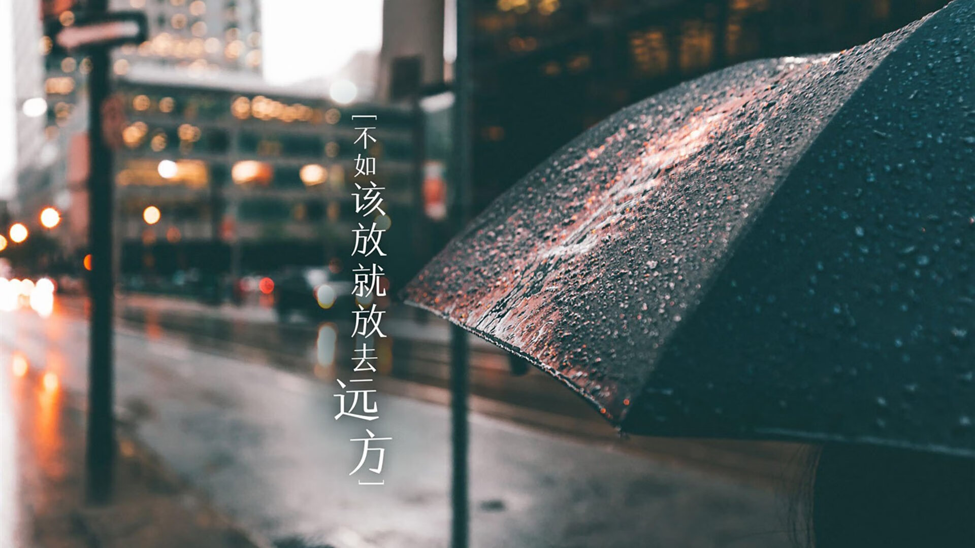 2026世界杯C组战术奇观,罗马尼亚钢铁防线压制哥伦比亚,穆西亚拉致命一击成就控球艺术