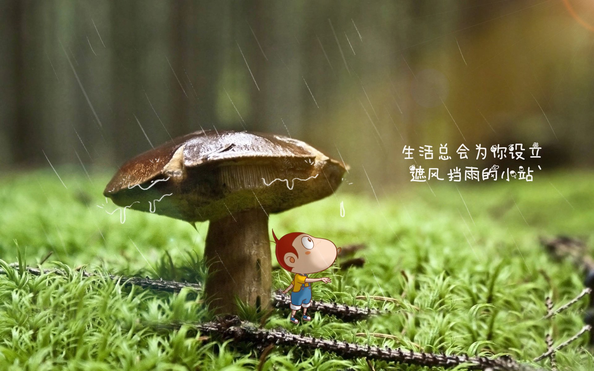 双雄的黄昏与黎明,2026世界杯G组,西班牙的浪潮吞没波兰,吉鲁用倒影剪裁永恒