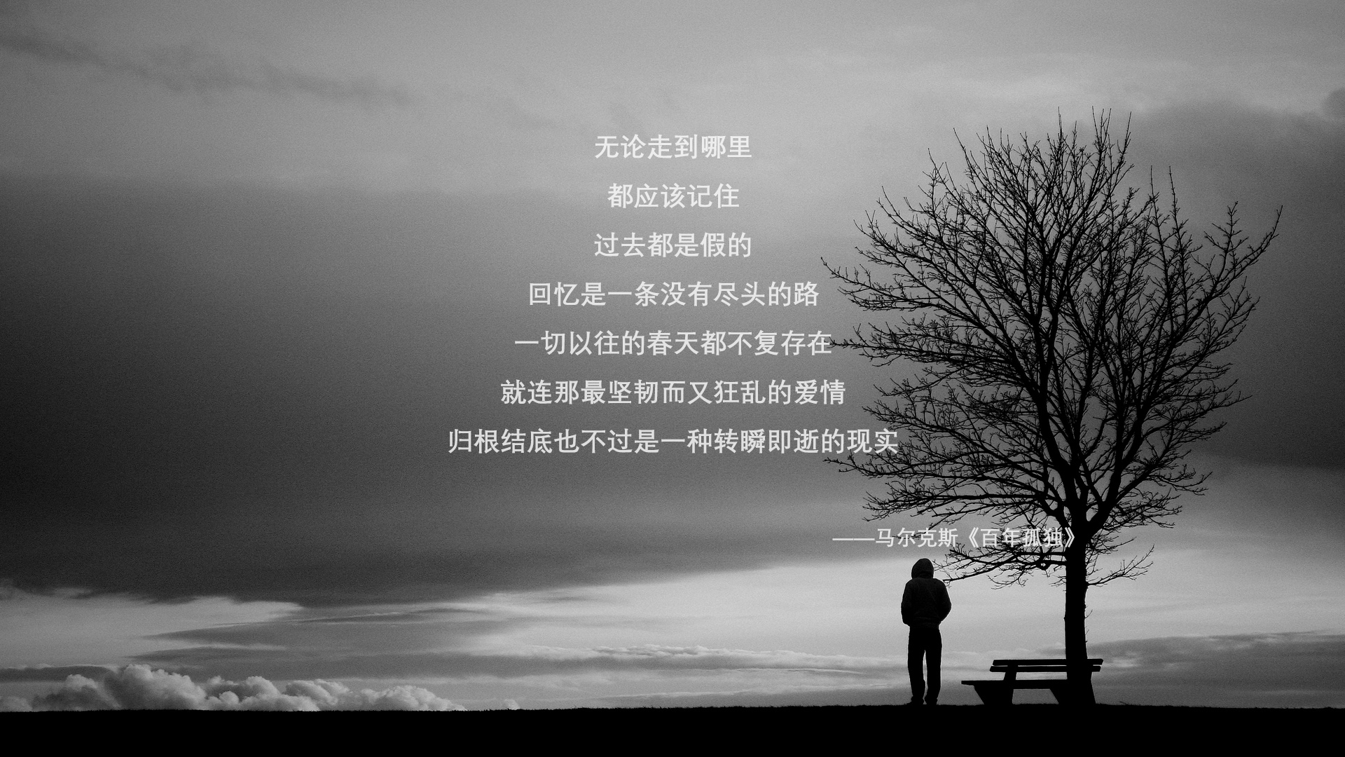 2026生死夜，法国铁蹄踏越南，孙兴慜刺穿黑夜的致命一击