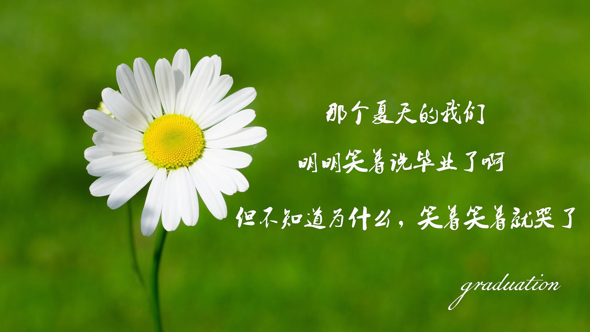 一秒钟的永恒,2026世界杯H组,当替补奇兵改写葡萄牙的宿命